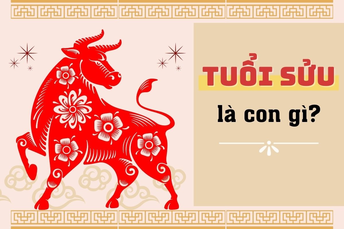 Tuổi Sửu là con gì? Người tuổi Sửu sinh năm bao nhiêu?