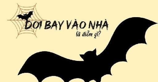 Dơi bay vào nhà là điềm báo gì? Tốt hay xấu?
