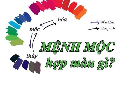 Mệnh Mộc hợp với màu gì? Màu sắc may mắn 