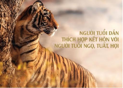 Tuổi Dần Hợp Tuổi Gì Trong Làm Ăn, Hôn Nhân Vợ Chồng?