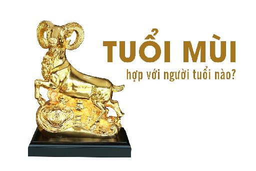 Tuổi Mùi Hợp Tuổi Gì Trong Làm Ăn, Hôn Nhân Vợ Chồng?