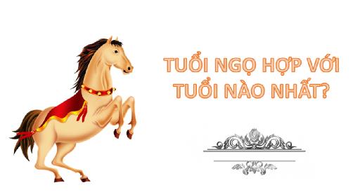 Tuổi Ngọ Hợp Tuổi Gì Trong Làm Ăn, Hôn Nhân Vợ Chồng?